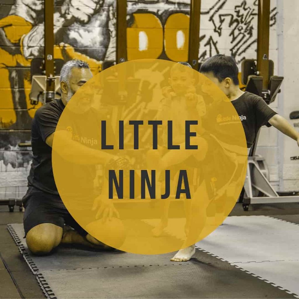 Martial Arts for Kids - Little Ninja